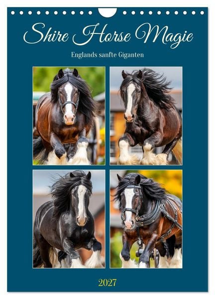 Produktbild: Shire Horse Magie. Englands sanfte Giganten (Wandkalender 2027 DIN A4 hoch), CALVENDO Monatskalender