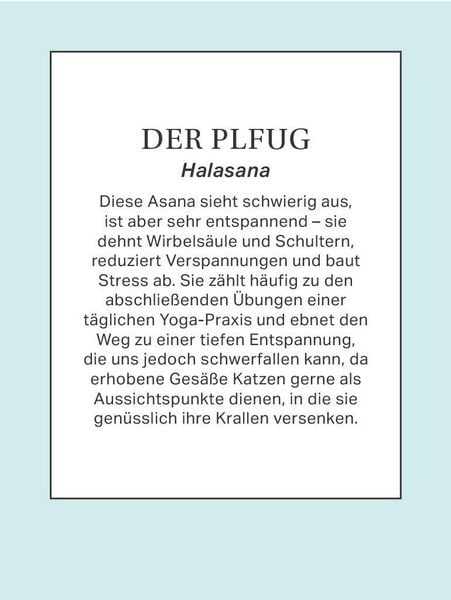 Produktbild: Yoga mit Katze