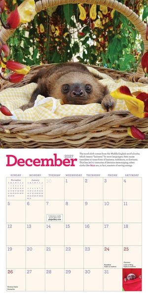 Produktbild: Original Sloths Mini Wall Calendar 2027