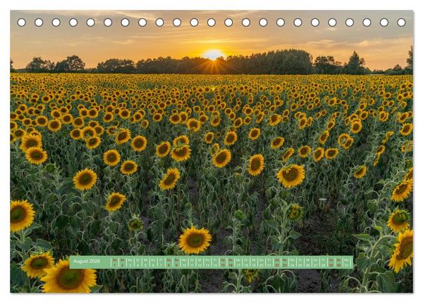 Produktbild: Wolfsburgs sch&ouml;nste Ecken (Tischkalender 2026 DIN A5 quer), CALVENDO Monatskalender