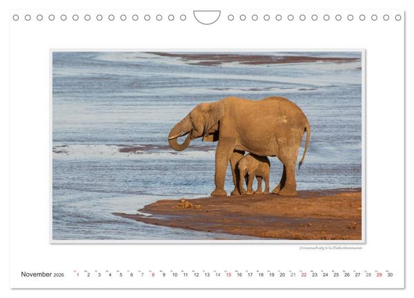 Produktbild: Emotionale Momente: Aus dem Leben der Elefanten. / CH-Version (Wandkalender 2026 DIN A4 quer), CALVENDO Monatskalender
