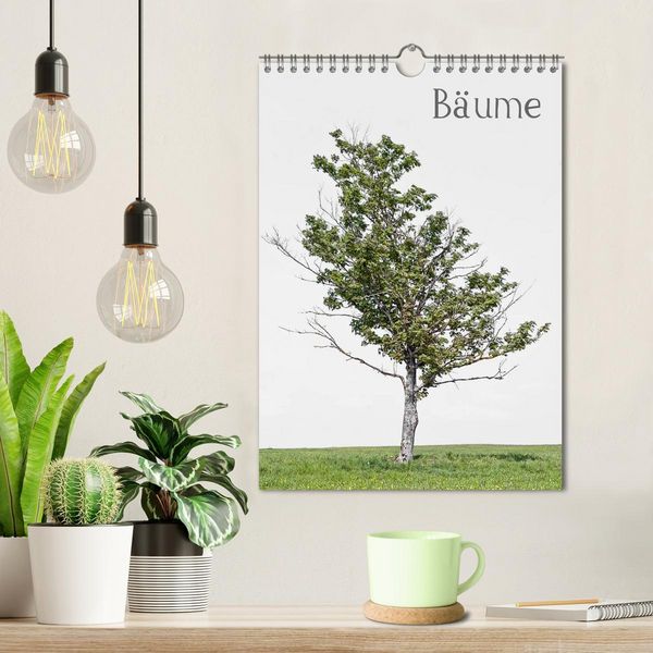 Produktbild: B&auml;ume (Wandkalender 2026 DIN A4 hoch), CALVENDO Monatskalender