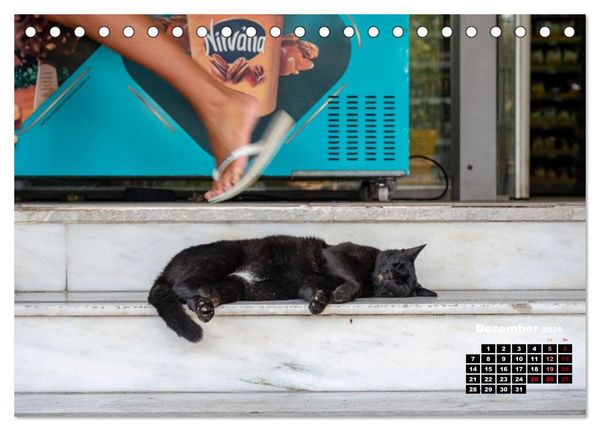 Produktbild: Katzen von Rhodos - Kleine G&ouml;tter auf vier Pfoten (Tischkalender 2026 DIN A5 quer), CALVENDO Monatskalender