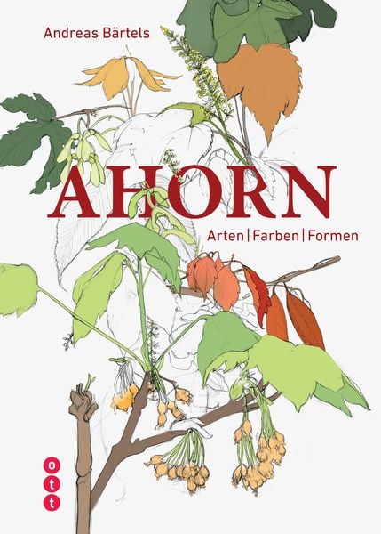Produktbild: Ahorn