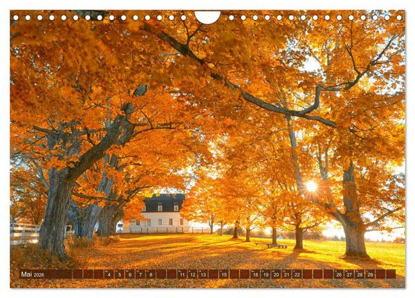 Produktbild: Neu England, Indian Summer (Wandkalender 2026 DIN A4 quer), CALVENDO Monatskalender