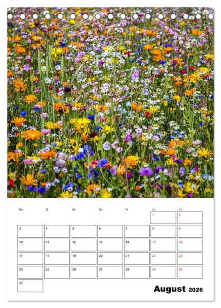 Produktbild: Farben der Natur (Tischkalender 2026 DIN A5 hoch), CALVENDO Monatskalender
