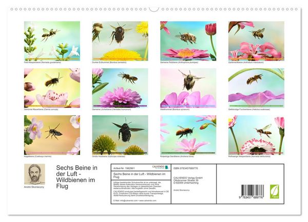 Produktbild: Sechs Beine in der Luft - Wildbienen im Flug (hochwertiger Premium Wandkalender 2026 DIN A2 quer), Kunstdruck in Hochglanz
