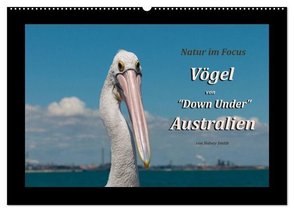 Produktbild: V&ouml;gel von "Down Under" Australien (Wandkalender 2027 DIN A2 quer), CALVENDO Monatskalender