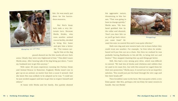 Produktbild: Unlikely Friendships: Dogs