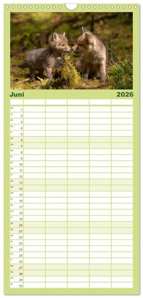 Produktbild: Familienplaner 2026 - Bei den Jungf&uuml;chsen mit 5 Spalten (Wandkalender, 21 x 45 cm) CALVENDO