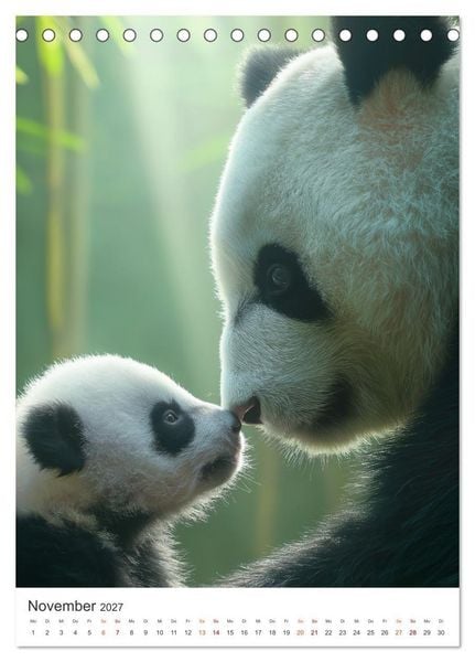 Produktbild: Panda Momente (Tischkalender 2027 DIN A5 hoch), CALVENDO Monatskalender