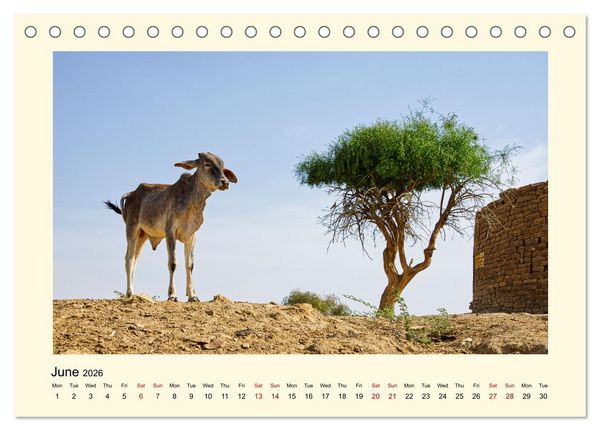 Produktbild: Great impressions of INDIA featuring awesome pictures (Desk Calendar 2026 DIN A5 landscape), CALVENDO 12 Month DeskCalendar