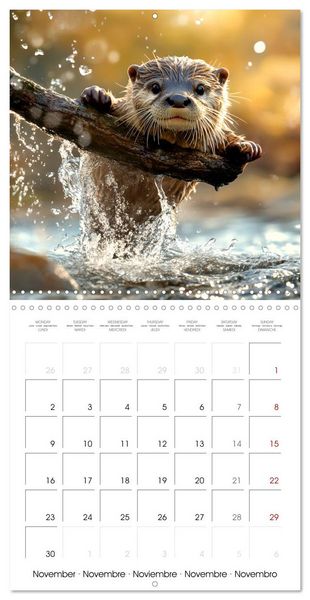 Produktbild: Cute Otter Moments (Wall Calendar 2026 12 &times; 12 Inch) CALVENDO 12 Month Wall Calendar