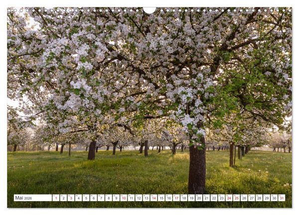 Produktbild: Kanton Thurgau (Wandkalender 2026 DIN A3 quer), CALVENDO Monatskalender