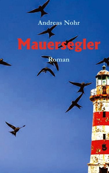 Produktbild: Mauersegler