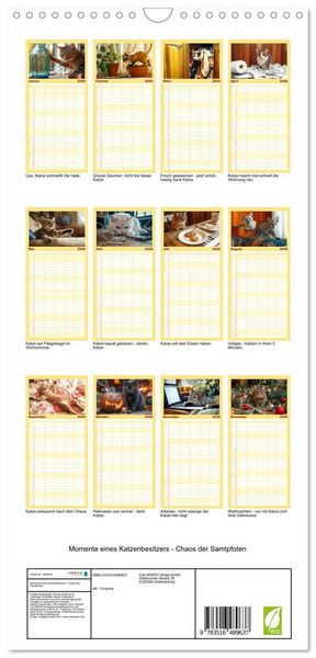 Produktbild: Familienplaner 2026 - Momente eines Katzenbesitzers - Chaos der Samtpfoten mit 5 Spalten (Wandkalender, 21 x 45 cm) CALVENDO