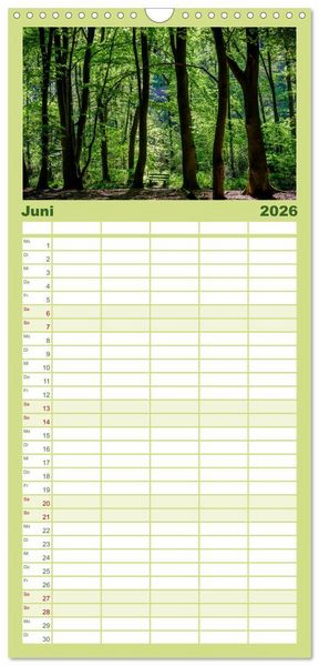 Produktbild: Familienplaner 2026 - Wege des einfachen Gl&uuml;cks - Spazierg&auml;nge im Wald mit 5 Spalten (Wandkalender, 21 x 45 cm) CALVENDO