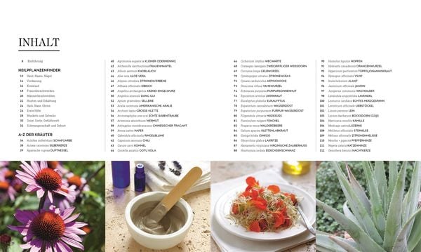 Produktbild: Das neue Praxisbuch Heilpflanzen