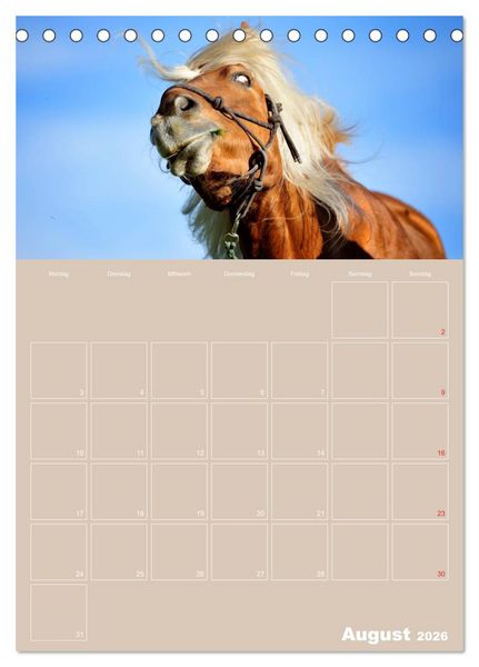 Produktbild: Pferde / Planer (Tischkalender 2026 DIN A5 hoch), CALVENDO Monatskalender