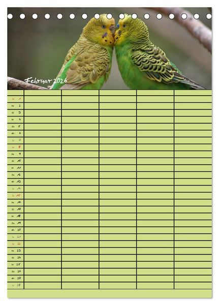 Produktbild: Der Wellensittich-Familienplaner (Tischkalender 2026 DIN A5 hoch), CALVENDO Monatskalender