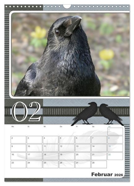 Produktbild: Kr&auml;hen - Clever notiert! Mit K&ouml;pfchen durchs ganze Jahr (Wandkalender 2026 DIN A3 hoch), CALVENDO Monatskalender