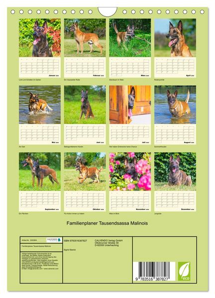 Produktbild: Familienplaner Tausendsassa Malinois (Wandkalender 2026 DIN A4 hoch), CALVENDO Monatskalender