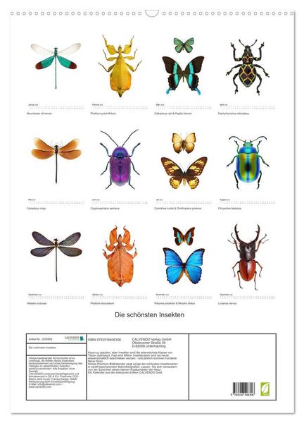 Produktbild: Die sch&ouml;nsten Insekten (Wandkalender 2026 DIN A2 hoch), CALVENDO Monatskalender