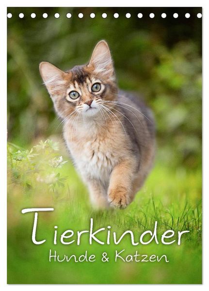 Produktbild: Tierkinder Hunde und Katzen (Tischkalender 2026 DIN A5 hoch), CALVENDO Monatskalender