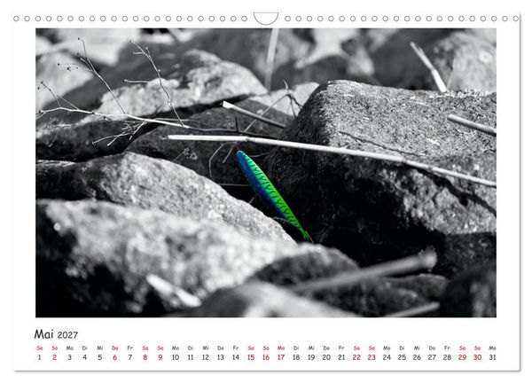 Produktbild: Gestrandet -Treibgut- (Wandkalender 2027 DIN A3 quer), CALVENDO Monatskalender
