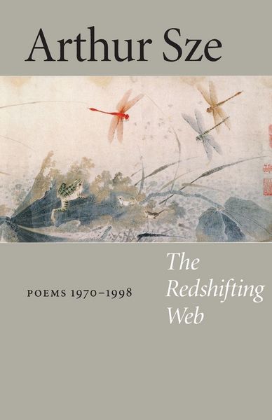Produktbild: The Redshifting Web