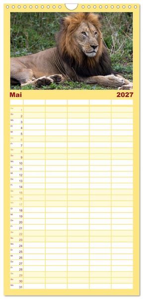 Produktbild: Familienplaner 2027 - L&ouml;wen in Botswana und S&uuml;dafrika mit 5 Spalten (Wandkalender, 21 x 45 cm) CALVENDO
