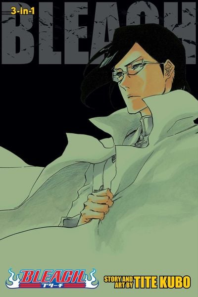 Bleach (3-in-1 Edition), 1