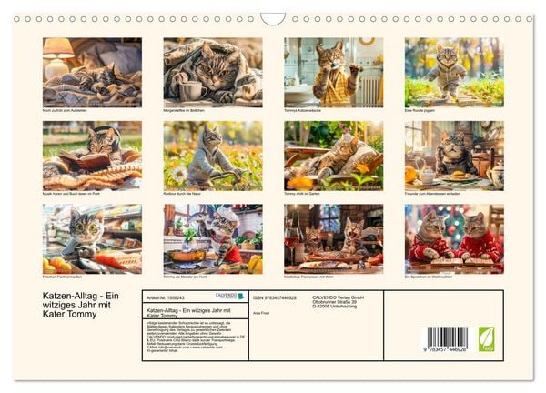 Produktbild: Katzen-Alltag - Ein witziges Jahr mit Kater Tommy (Wandkalender 2026 DIN A3 quer), CALVENDO Monatskalender