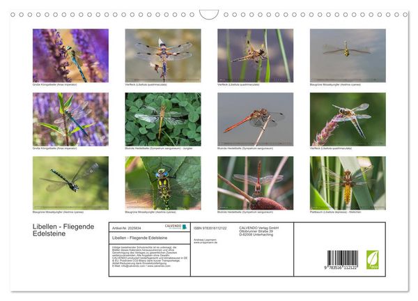 Produktbild: Libellen - Fliegende Edelsteine (Wandkalender 2026 DIN A3 quer), CALVENDO Monatskalender