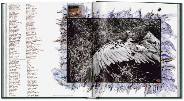 Produktbild: Peter Beard