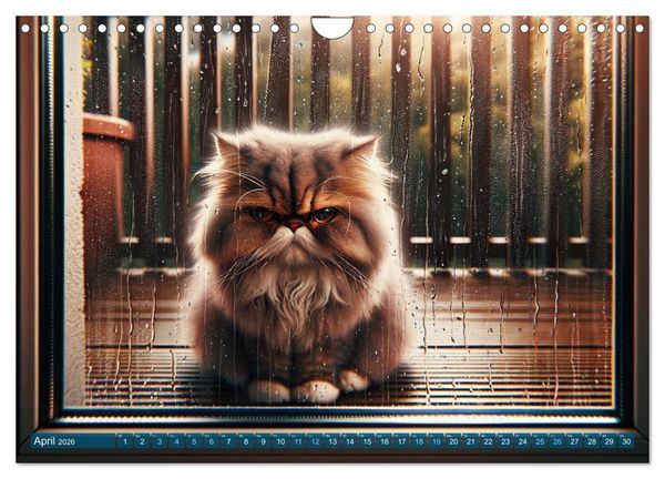 Produktbild: Katzenlaunen - Durch das Jahr mit Fluff und Grummeln (Wandkalender 2026 DIN A4 quer), CALVENDO Monatskalender