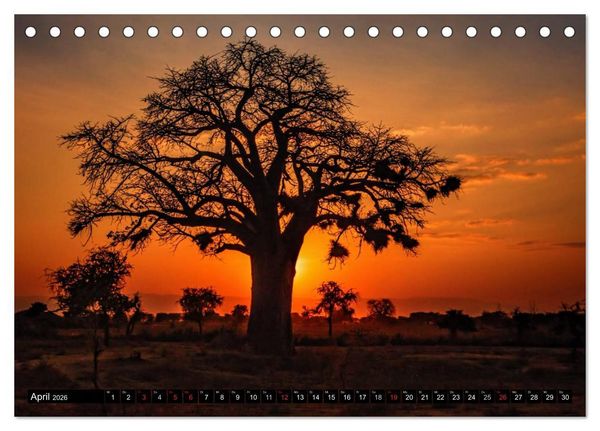 Produktbild: Afrikas B&auml;ume (Tischkalender 2026 DIN A5 quer), CALVENDO Monatskalender