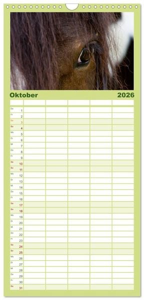 Produktbild: Familienplaner 2026 - Irish Tinker mit 5 Spalten (Wandkalender, 21 x 45 cm) CALVENDO