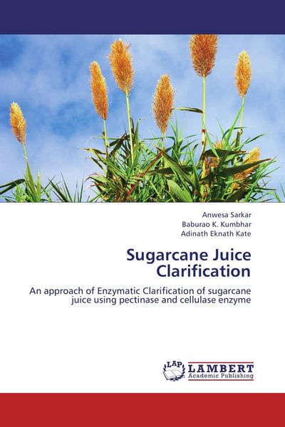 Produktbild: Sugarcane Juice Clarification