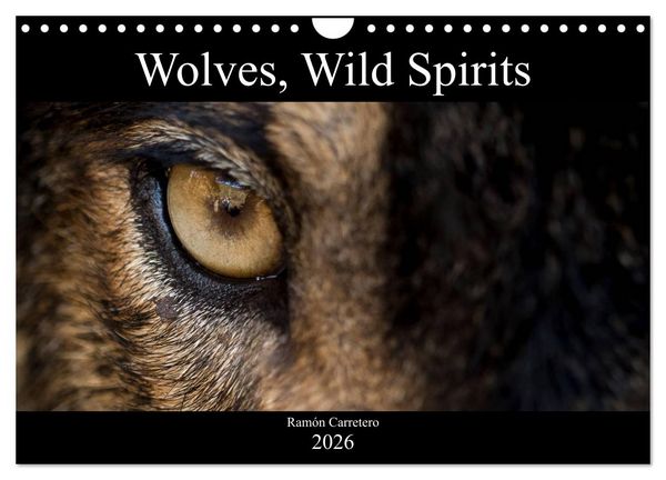 Produktbild: Wolves, Wild Spirits (Wall Calendar 2026 DIN A4 landscape), CALVENDO 12 Month Wall Calendar