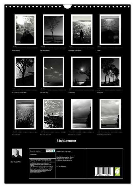 Produktbild: Lichtermeer (Wandkalender 2026 DIN A3 hoch), CALVENDO Monatskalender
