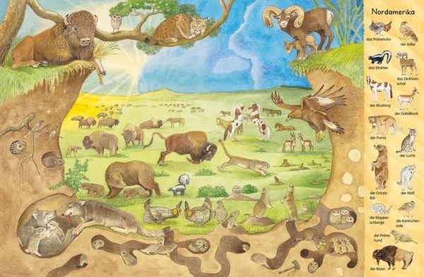 Mein erstes Wimmelbuch: Tiere aus aller Welt