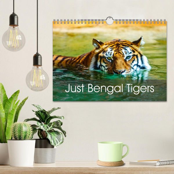 Produktbild: Just Bengal Tigers (Wall Calendar 2026 DIN A4 landscape), CALVENDO 12 Month Wall Calendar