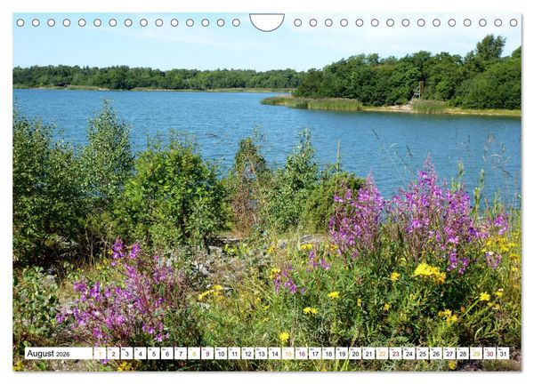Produktbild: &Aring;landinseln. Sch&auml;rengarten zwischen Finnland und Schweden (Wandkalender 2026 DIN A4 quer), CALVENDO Monatskalender