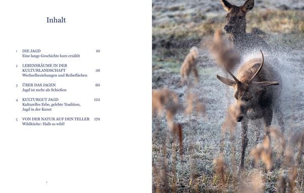 Produktbild: Auf der Jagd