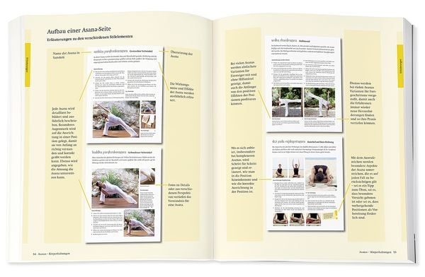 Produktbild: Yoga - Das gro&szlig;e Praxisbuch f&uuml;r Einsteiger & Fortgeschrittene