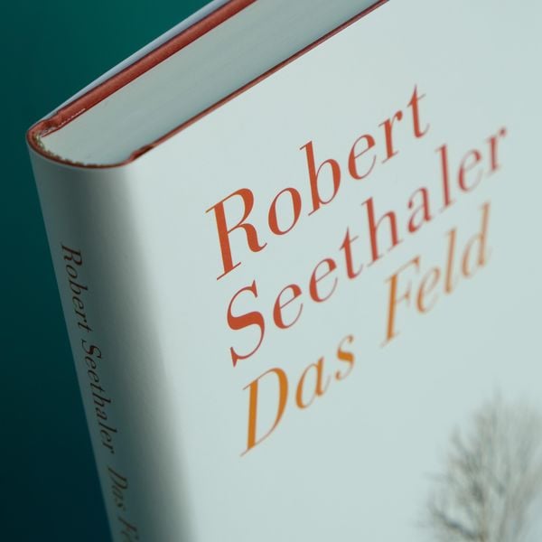 Produktbild: Das Feld