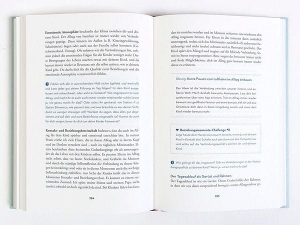 Produktbild: Die Reise zur gl&uuml;cklichen Eltern-Kind-Beziehung