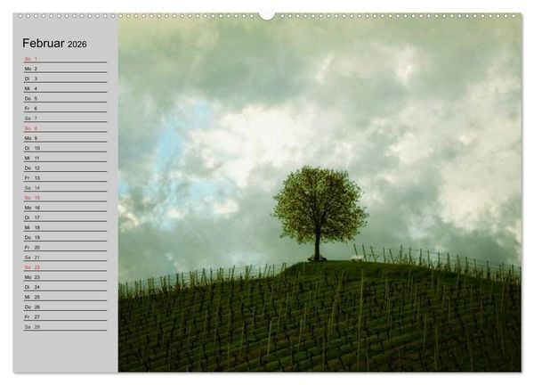 Produktbild: Magische B&auml;ume (hochwertiger Premium Wandkalender 2026 DIN A2 quer), Kunstdruck in Hochglanz
