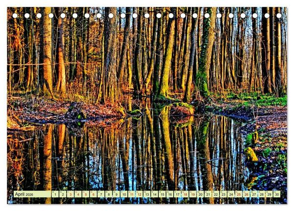 Produktbild: Verwunschene Waldtr&auml;ume: Ein Kalender voller Magie (Tischkalender 2026 DIN A5 quer), CALVENDO Monatskalender